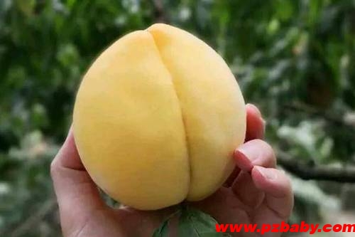 黄桃成熟上市在几月？什么时候的黄桃最好吃？