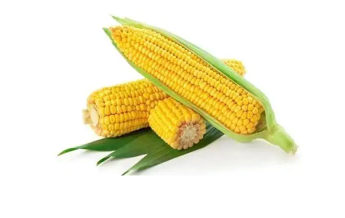 玉米一般蒸多久才熟