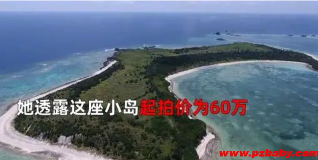 中国女子买70万平无人岛在日引争议