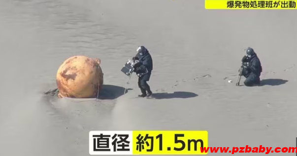 日本海岸现不明球状物:直径1.5米